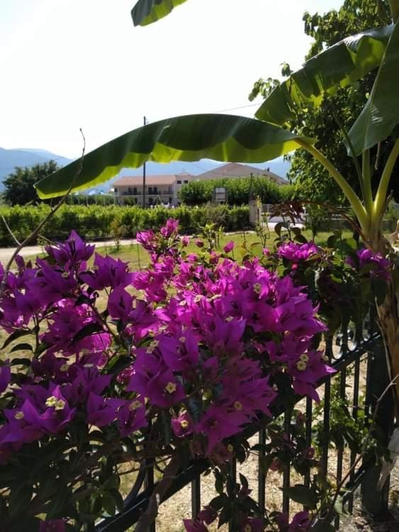 فيلا Rosegarden سامي المظهر الخارجي الصورة