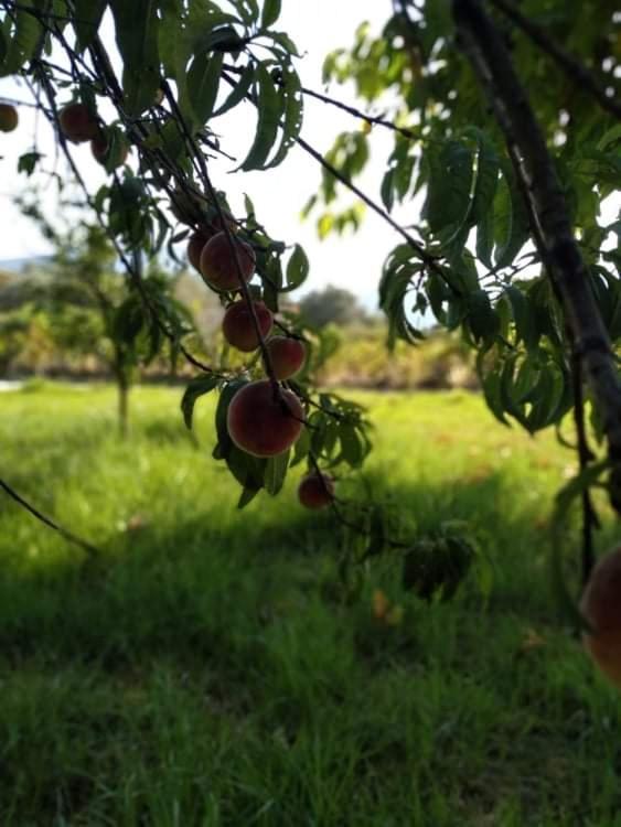 فيلا Rosegarden سامي المظهر الخارجي الصورة