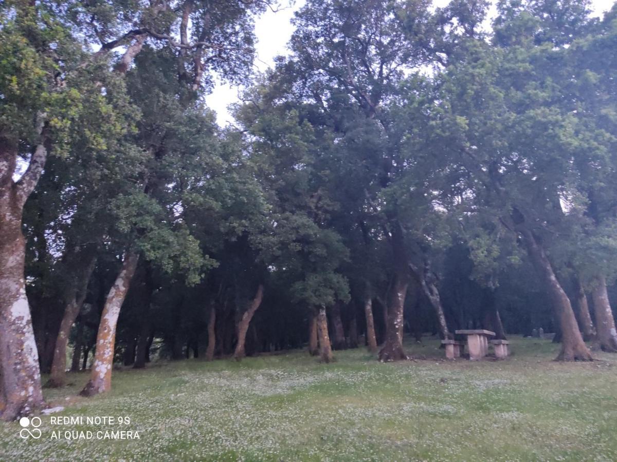 فيلا Rosegarden سامي المظهر الخارجي الصورة