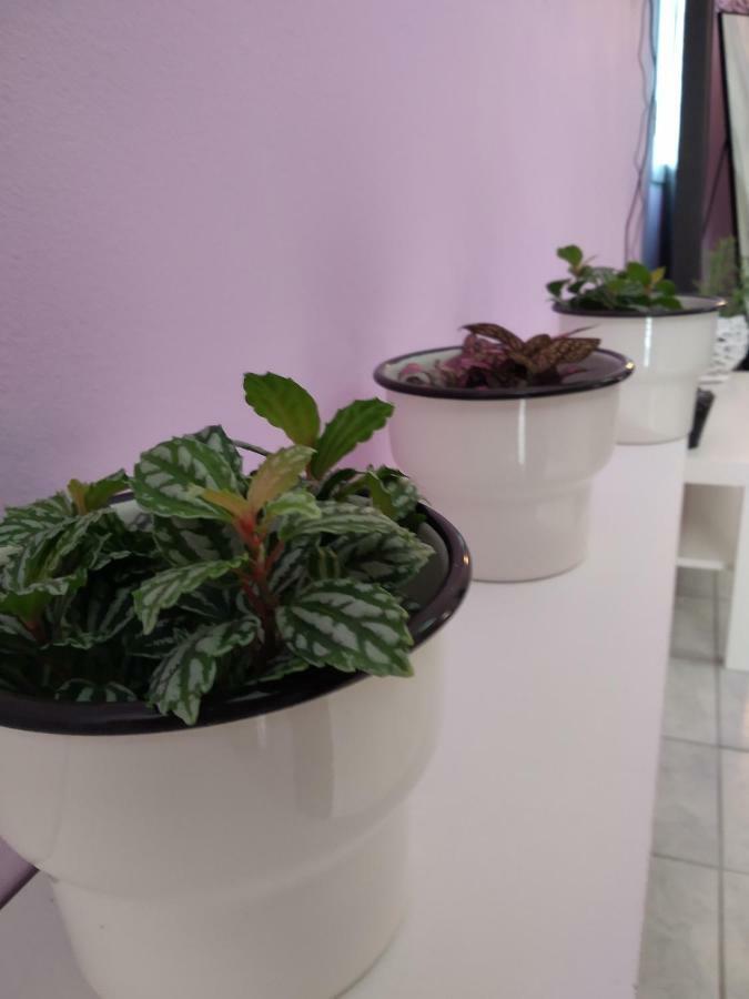 فيلا Rosegarden سامي المظهر الخارجي الصورة